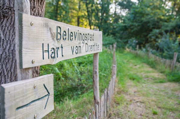 Medium property photo - Het Zwiggelterveld 153, 9433 VD Zwiggelte